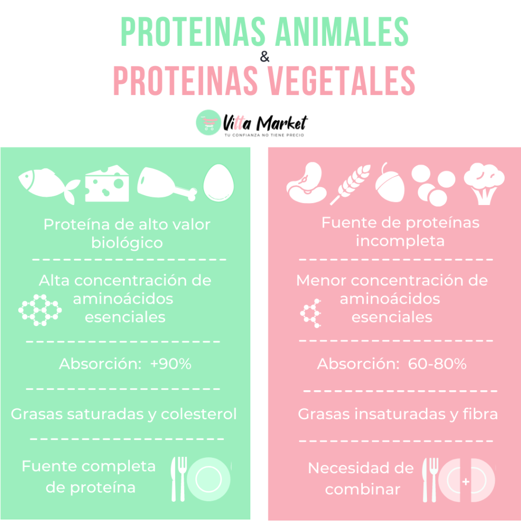 ../../Users/MGH/Downloads/Proteína