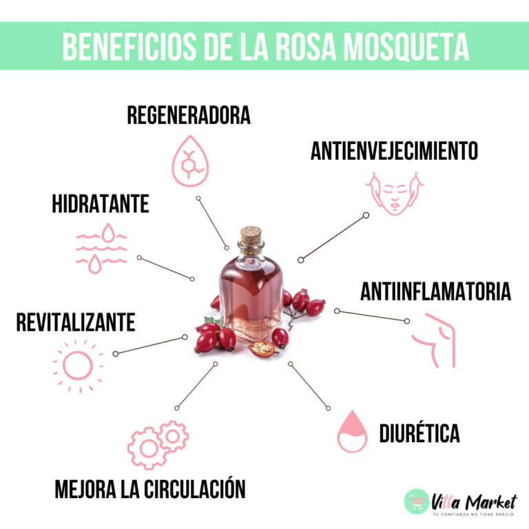 Beneficios de la rosa mosqueta – El Blog de Vitta Market